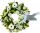 Send Flowers