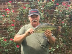 Joe Shotwell, obituary — Pace Funeral Home