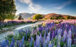 John Els, obituary — Pace Funeral Home